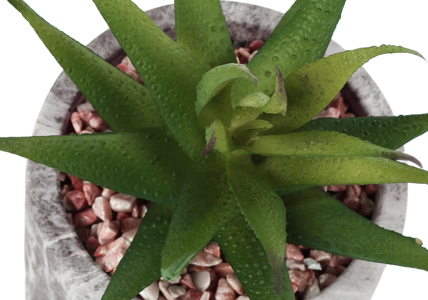 Reordan Green Artificial Succulent Plant, Set of 2 - Image 6