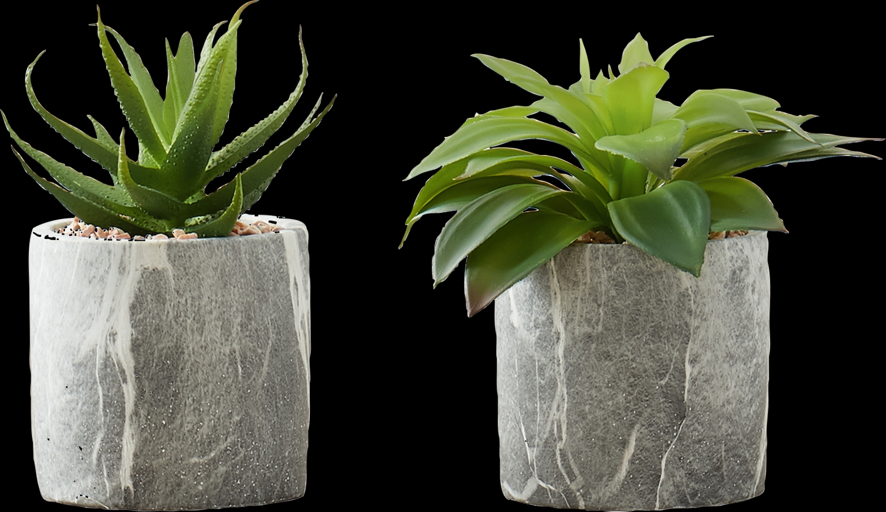 Reordan Green Artificial Succulent Plant, Set of 2 - Thumbnail - Image 1