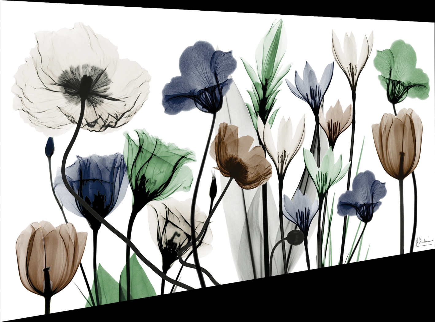 Rillito Multi Artwork - Thumbnail - Image 6