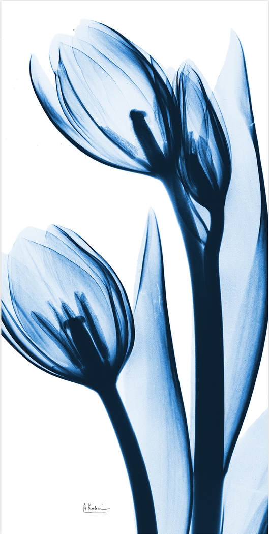 Rociante Blue Artwork - Thumbnail - Image 1