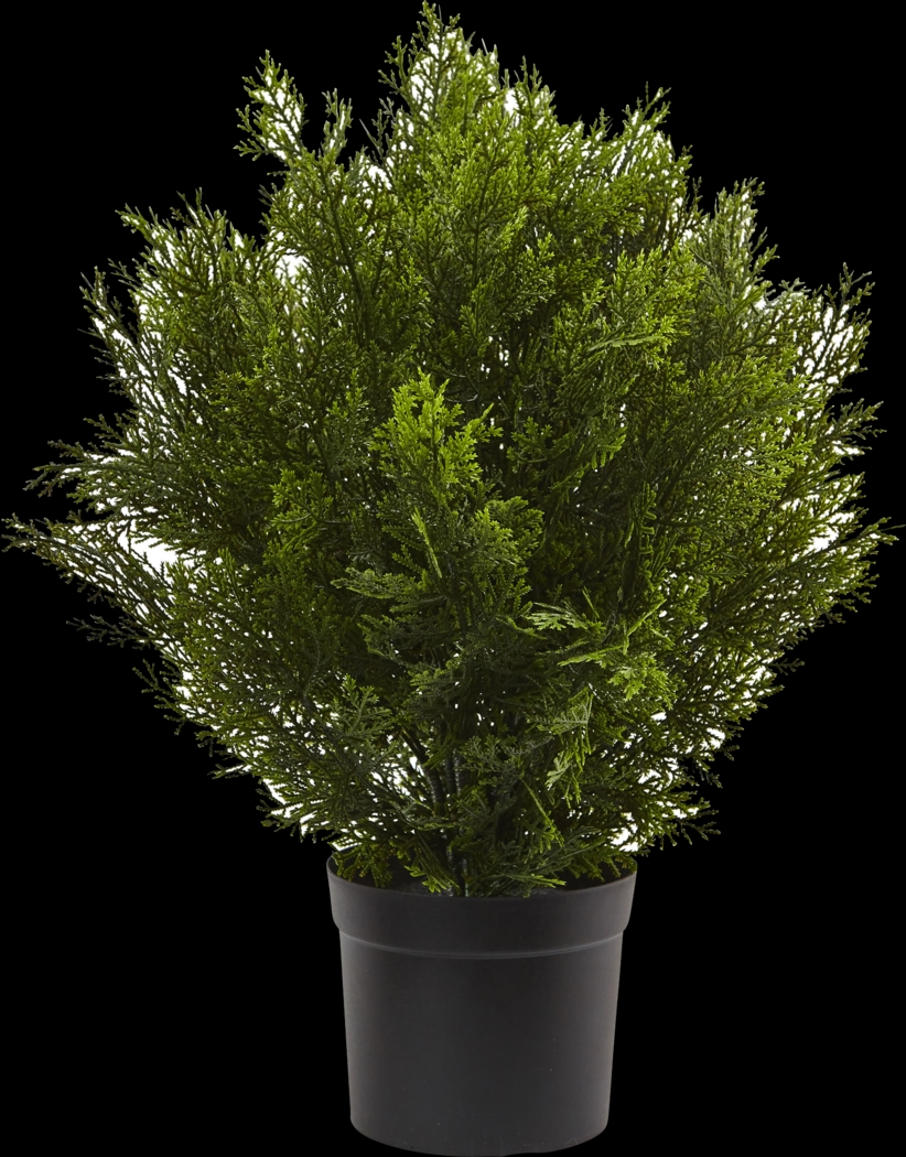 Rodel Green Cedar Indoor/Outdoor Silk Plant - Thumbnail - Image 1