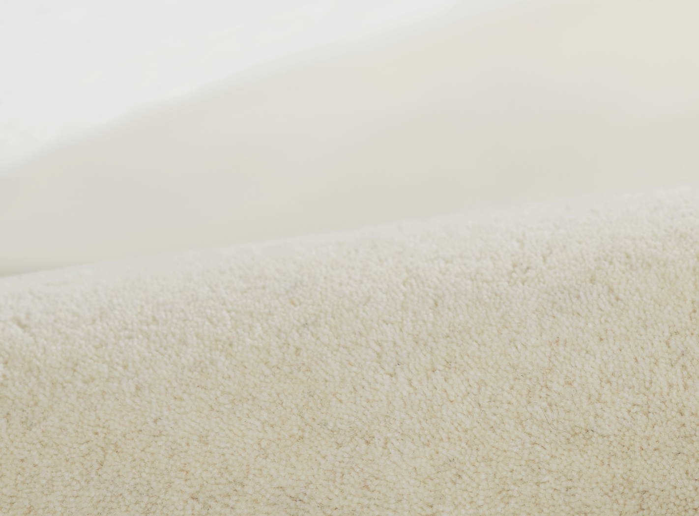 Roffinne Ivory 5' x 8' Rug - Thumbnail - Image 7