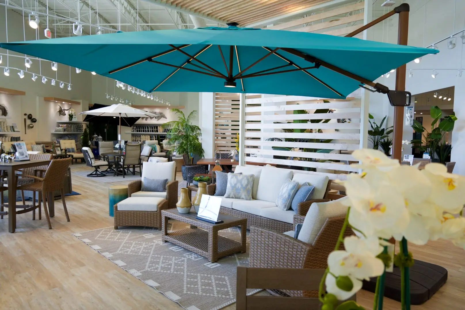 rooms-to-go-conroe-tx-teal-umbrella-lounge-set-display-wide.jpg