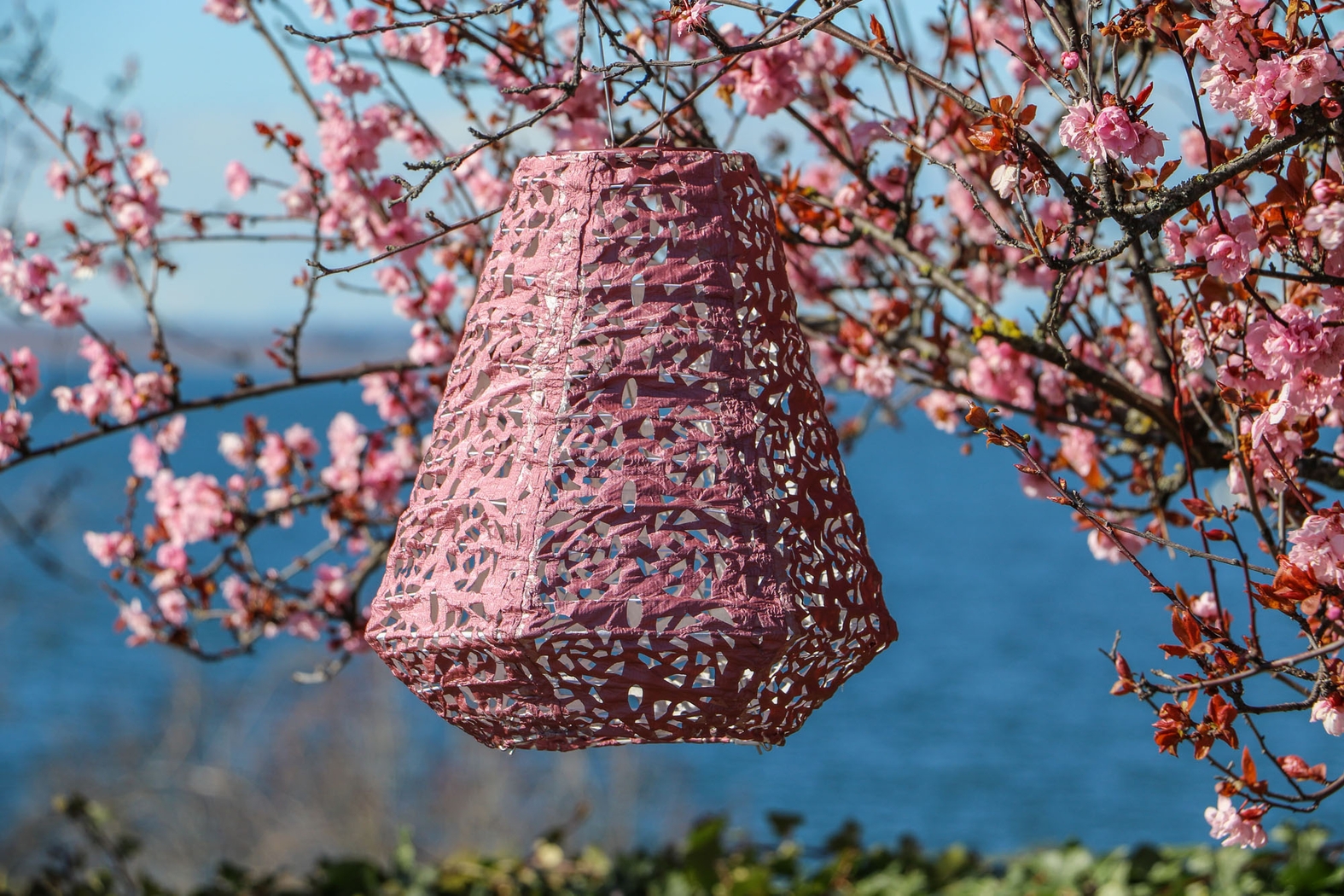 Rose Lace Purple Outdoor Solar Lantern - Thumbnail - Image 5