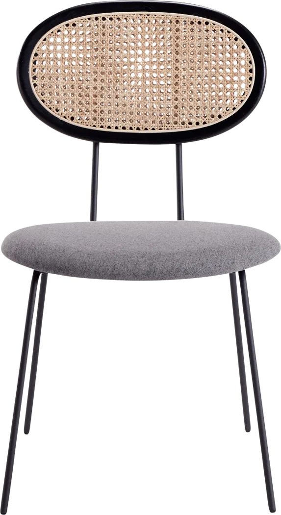 Roseforce Gray Side Chair, Set of 2 - Thumbnail - Image 3