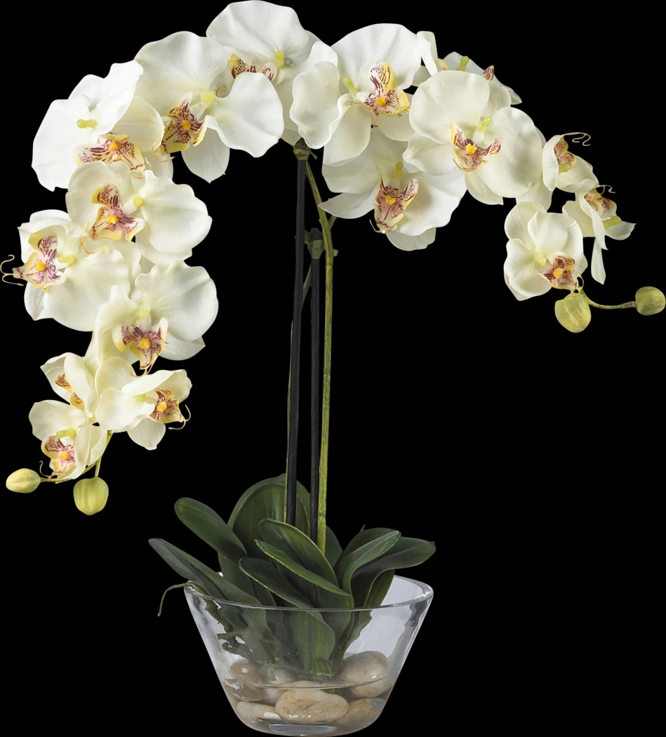 Saidy Green Orchid Silk Floral - Thumbnail - Image 1