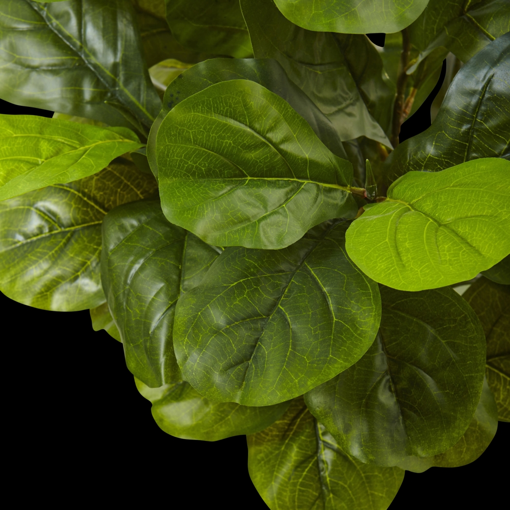 Saira Green Fiddle Leaf Silk Tree - Thumbnail - Image 3