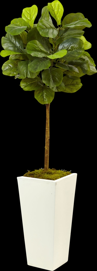 Saira Green Fiddle Leaf Silk Tree - Thumbnail - Image 1