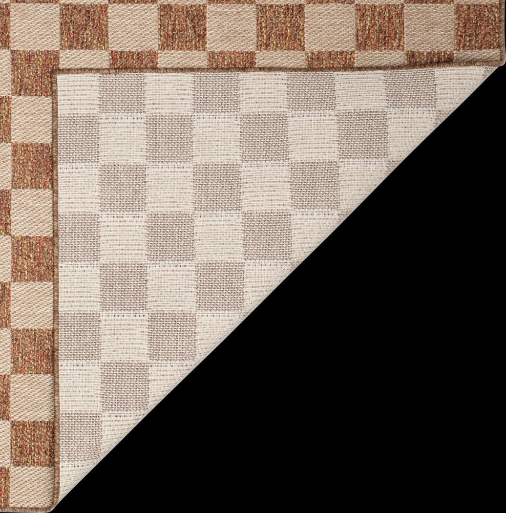 Salow Rust 7'10 x 9'10 Indoor/Outdoor Rug - Thumbnail - Image 4