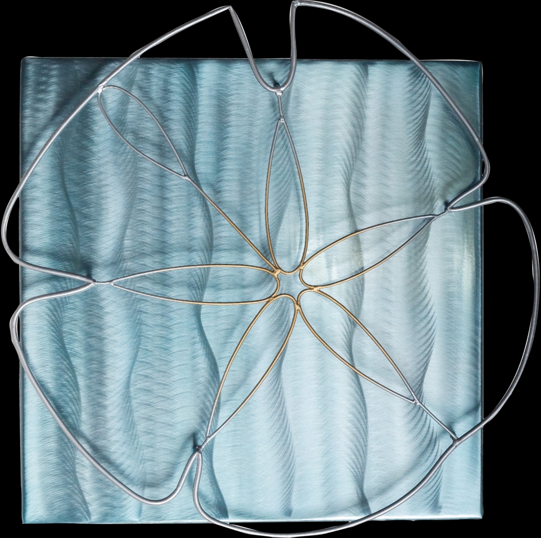 Sand Dollar Blue Outdoor Wall Art - Thumbnail - Image 1