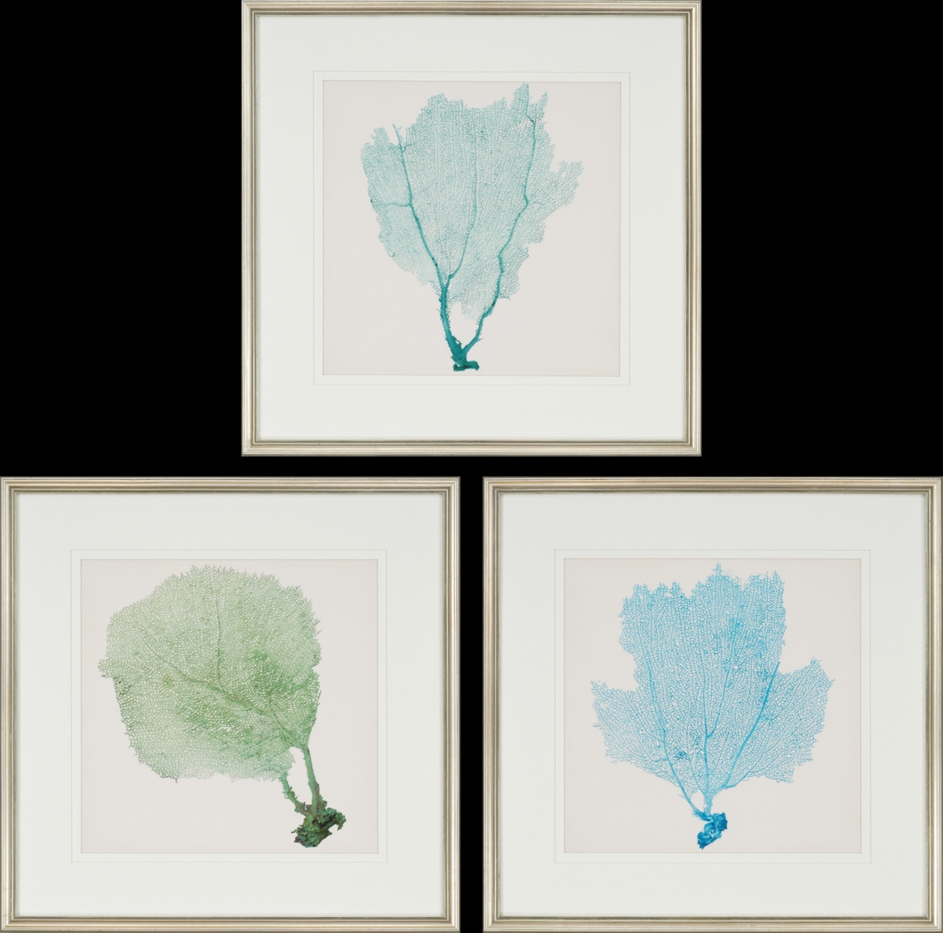 Sarvene I Set of 3 Artwork - Thumbnail - Image 1