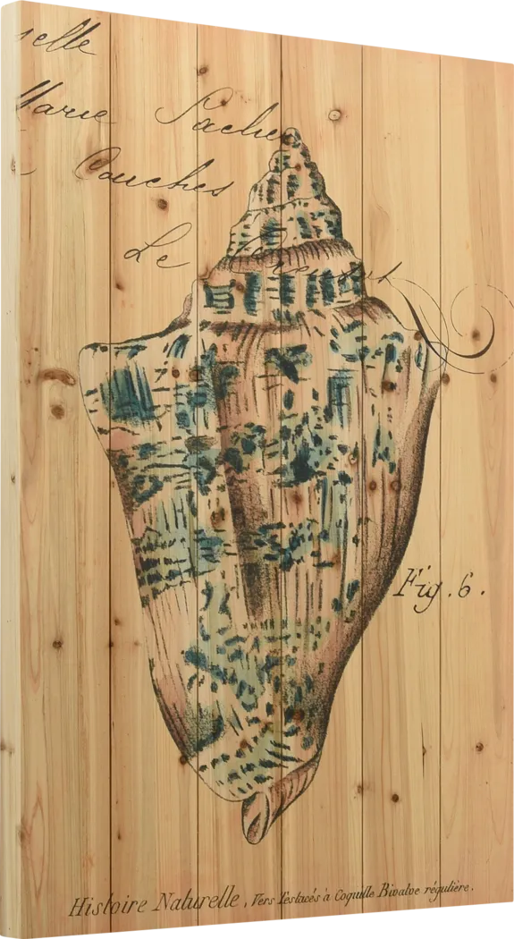 Sea Gems III Artwork - Thumbnail - Image 2