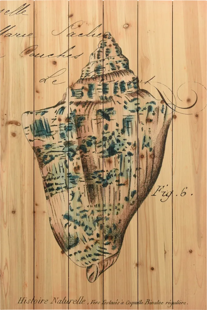 Sea Gems III Artwork - Thumbnail - Image 1