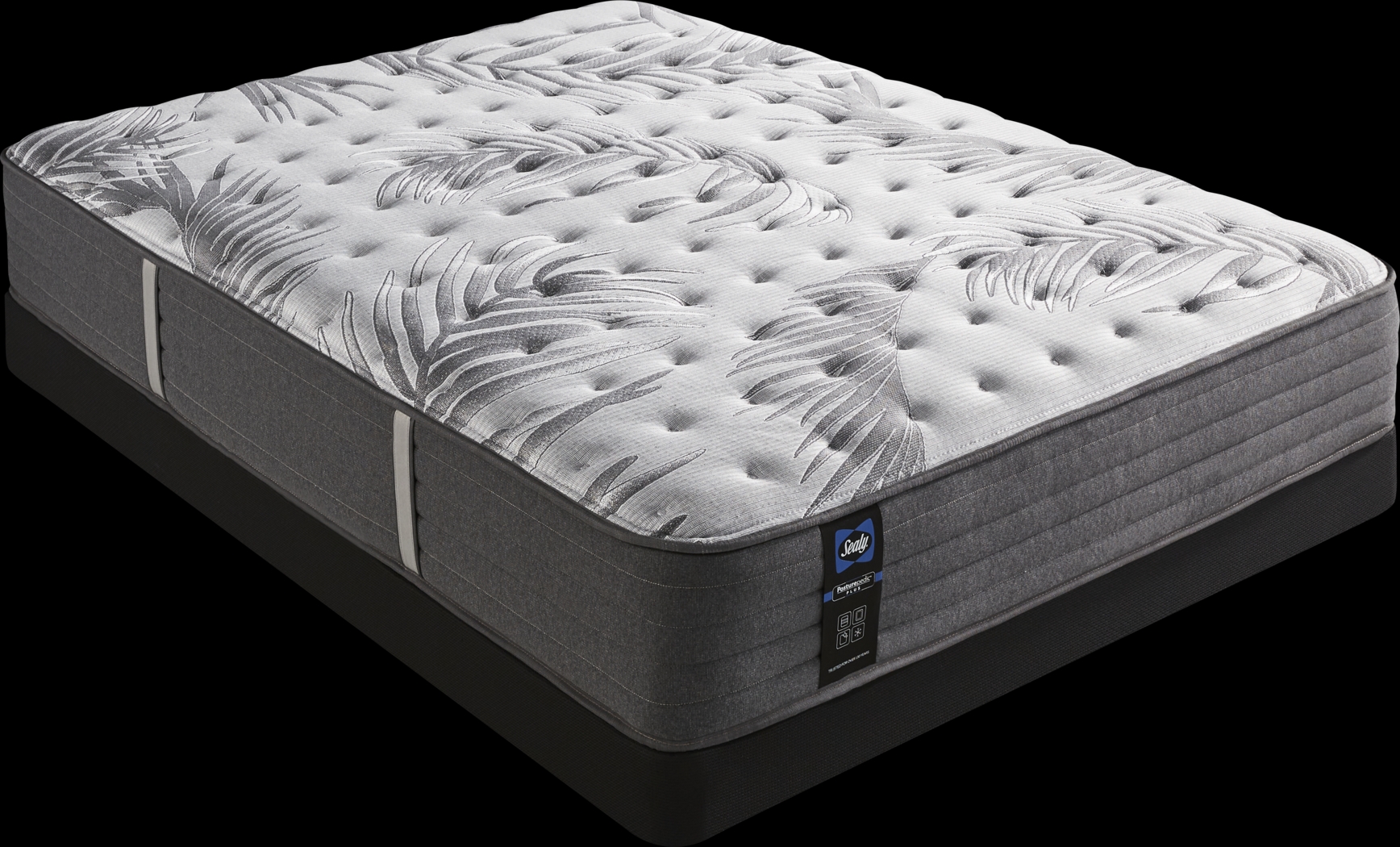 Sealy Posturepedic Plus Lockfield Low Profile Queen Mattress Set - Thumbnail - Image 1