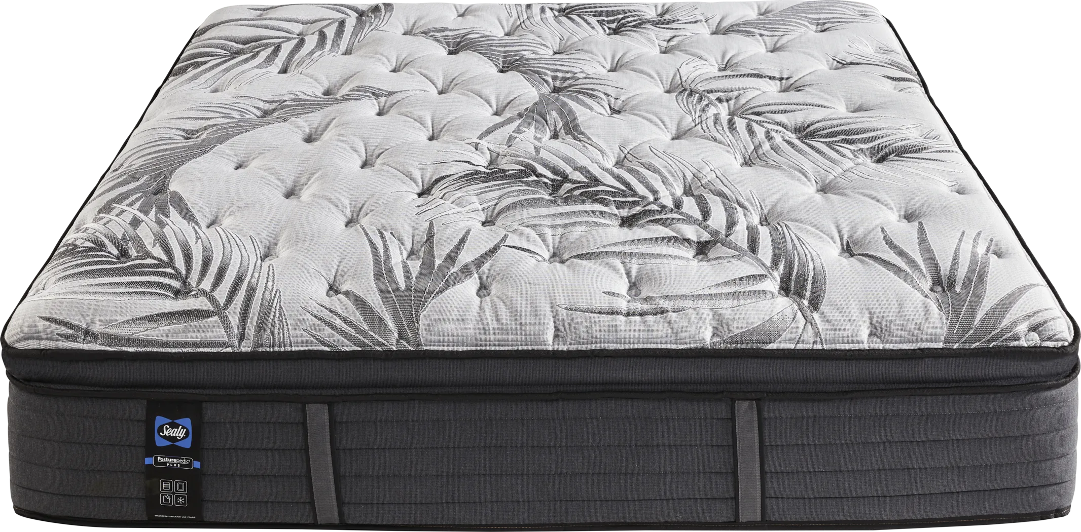 Sealy Posturepedic Plus Starley California King Mattress - Thumbnail - Image 2