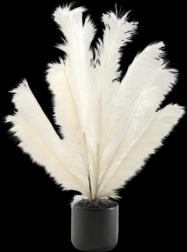 Senasac Black Plume Feathers - Thumbnail - Image 1