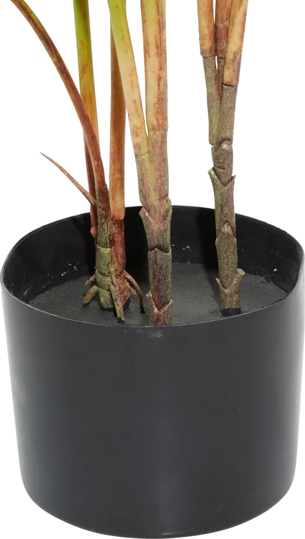 Sereya Green Silk Plant - Thumbnail - Image 3