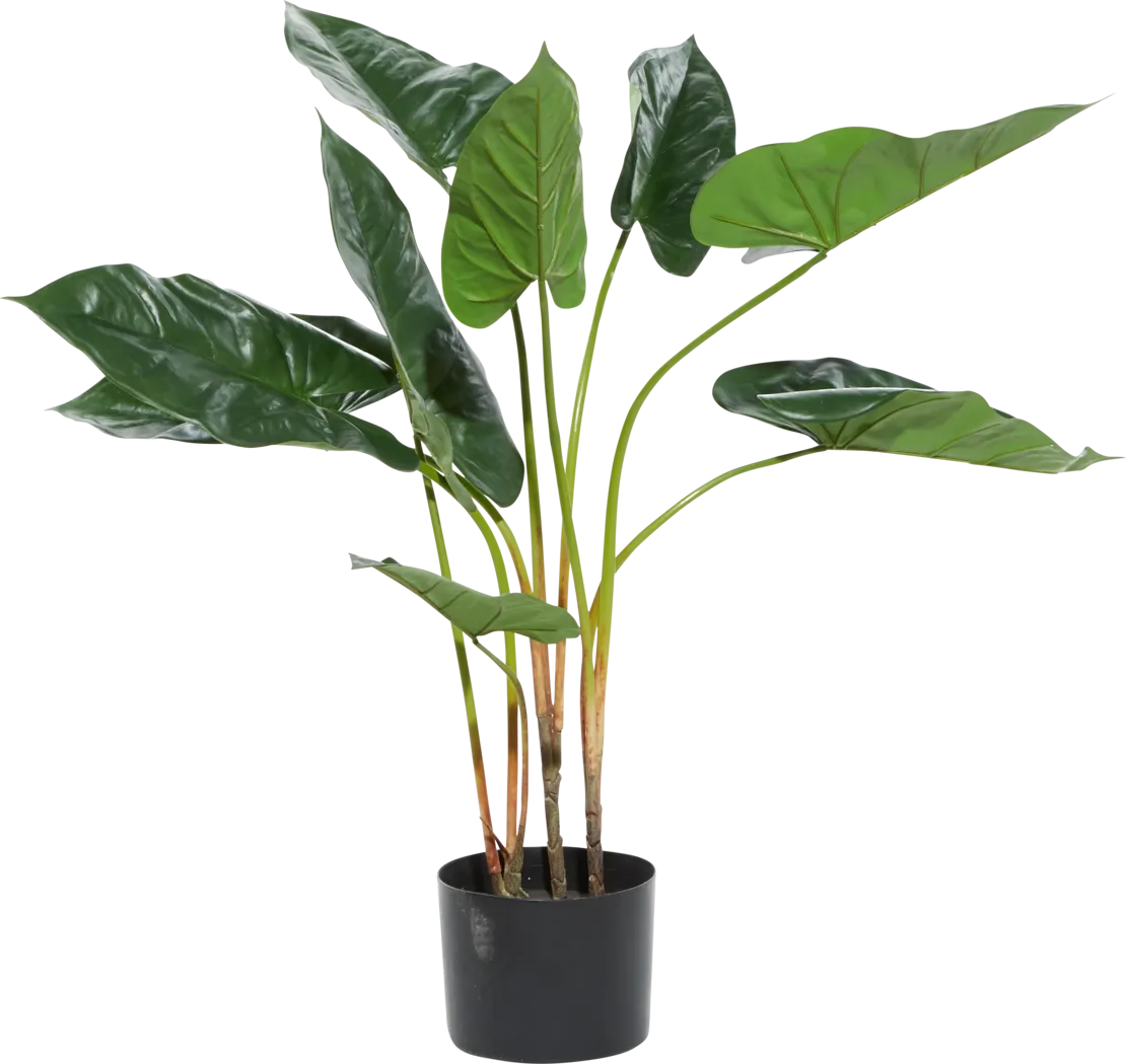 Sereya Green Silk Plant - Thumbnail - Image 5