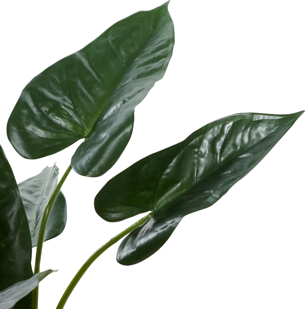 Sereya Green Silk Plant - Thumbnail - Image 7