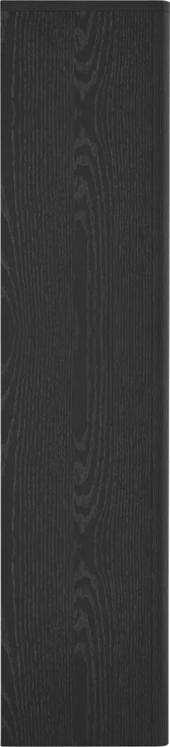 Shadebooks II Black Storage Cabinet - Thumbnail - Image 9