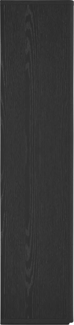 Shadebooks III Black Accent Cabinet - Thumbnail - Image 5