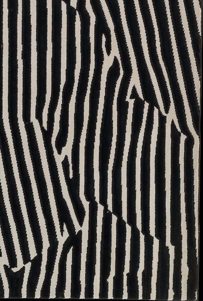 Shadow Black 3'11 x 5'7 Rug - Thumbnail - Image 4