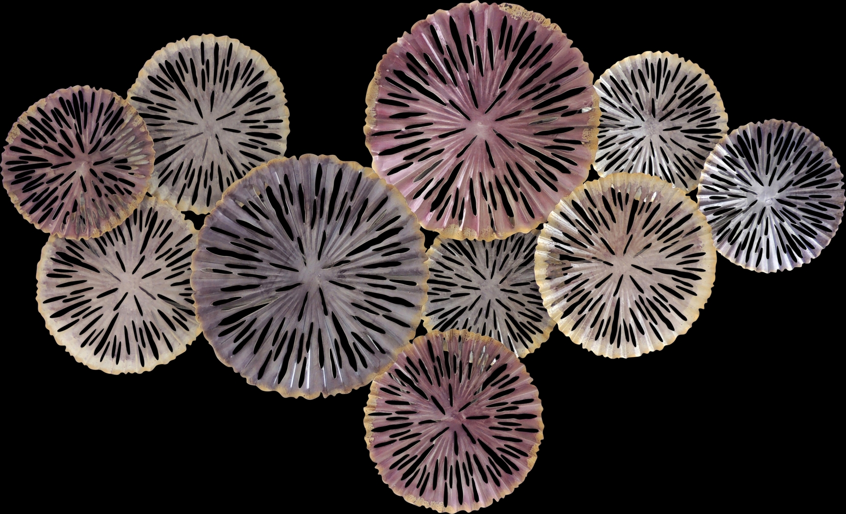 Sharel Mauve Wall Decor - Thumbnail - Image 1