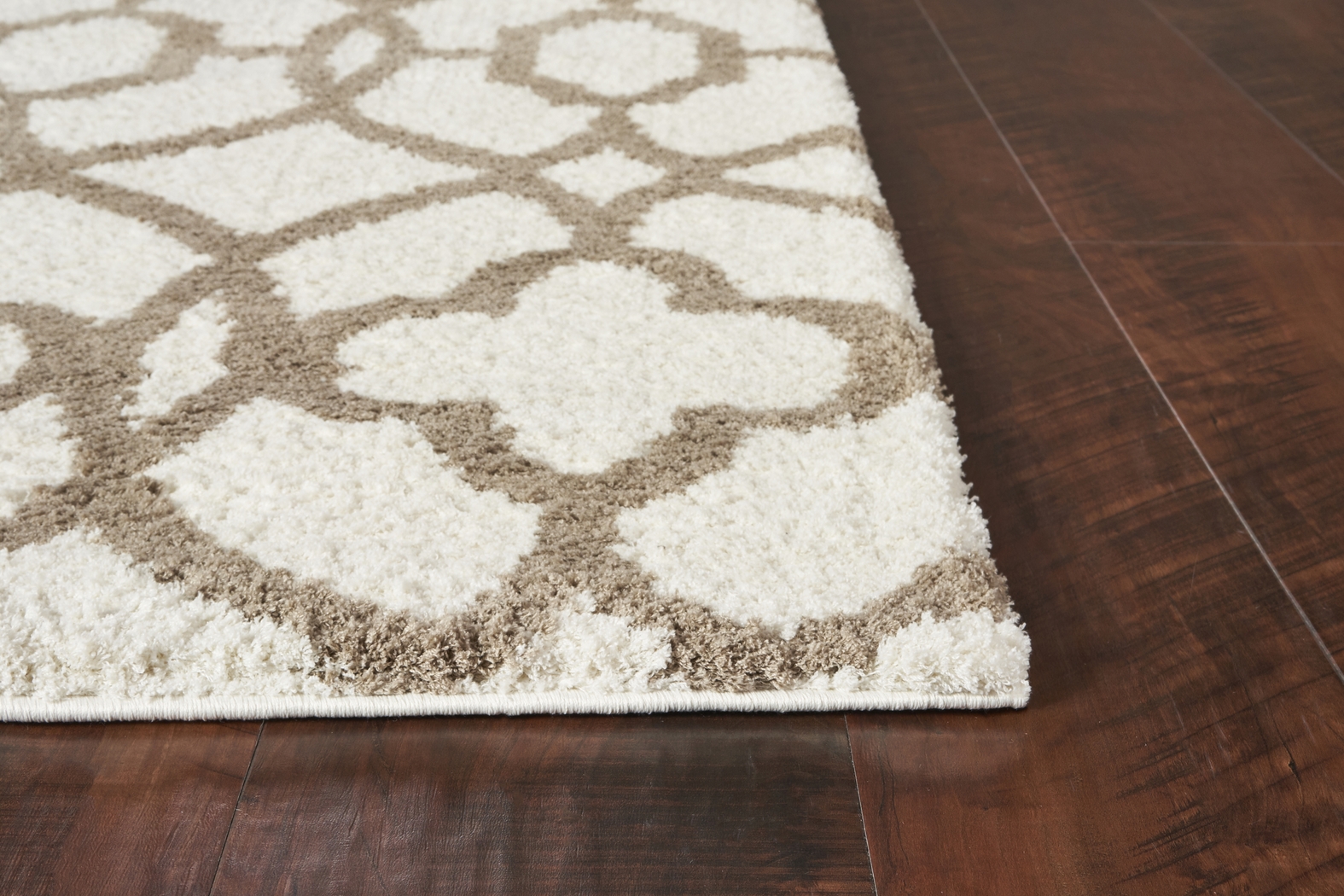 Shelnola Ivory/Beige 7'10 x 10'6 Rug - Thumbnail - Image 2