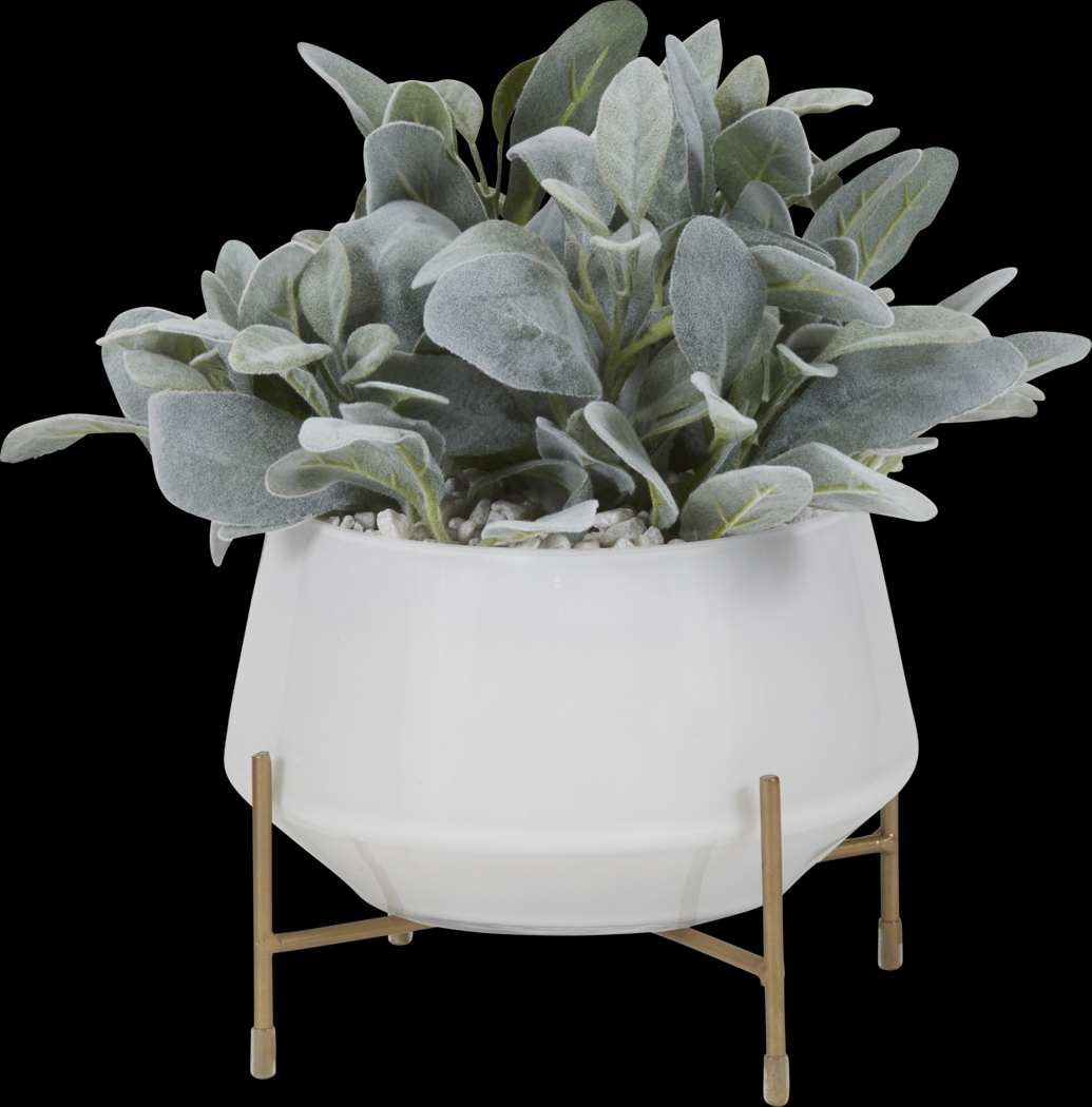 Sherrie Green Lamb's Ear Silk Plant - Thumbnail - Image 1