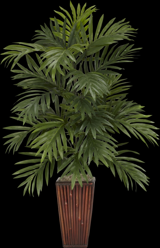 Shyia Green Palm Silk Tree - Thumbnail - Image 1