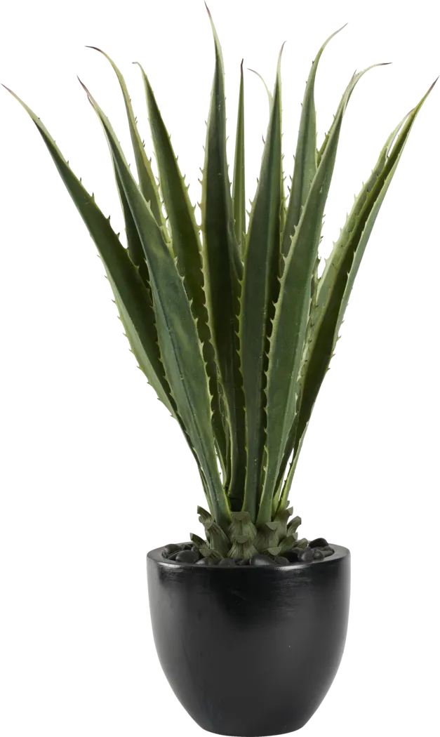 Silvara Green 48in. Artificial Agave in Black Planter - Thumbnail - Image 1
