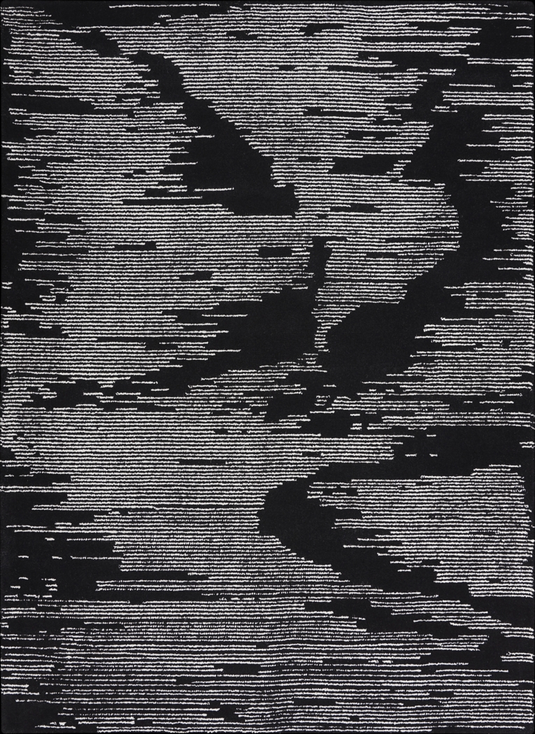 Silver Falls Black 8'6" x 11'6" Rug - Thumbnail - Image 1