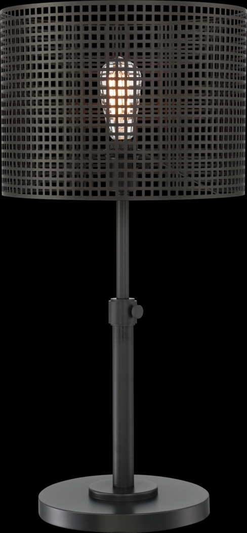 Silverberry Black Lamp - Thumbnail - Image 1