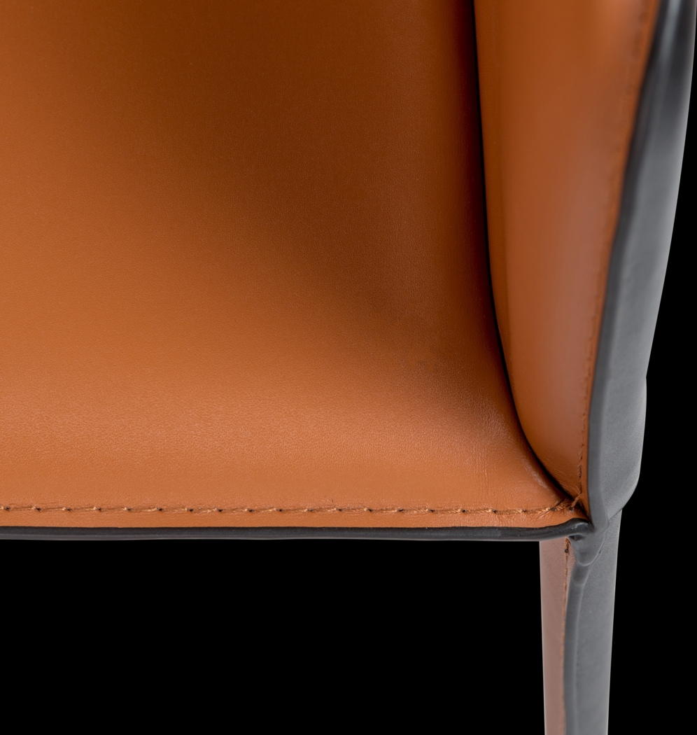 Simonview Cognac Arm Chair - Thumbnail - Image 9