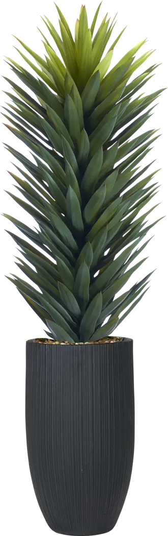 Sisalana Green 60 in. UV Artifical Agave Plant in Black Planter - Thumbnail - Image 1