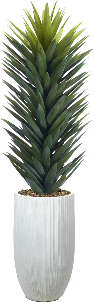 Sisalanna Green 60 in.UV Artificail Agave Plant in White Planter - Thumbnail - Image 1