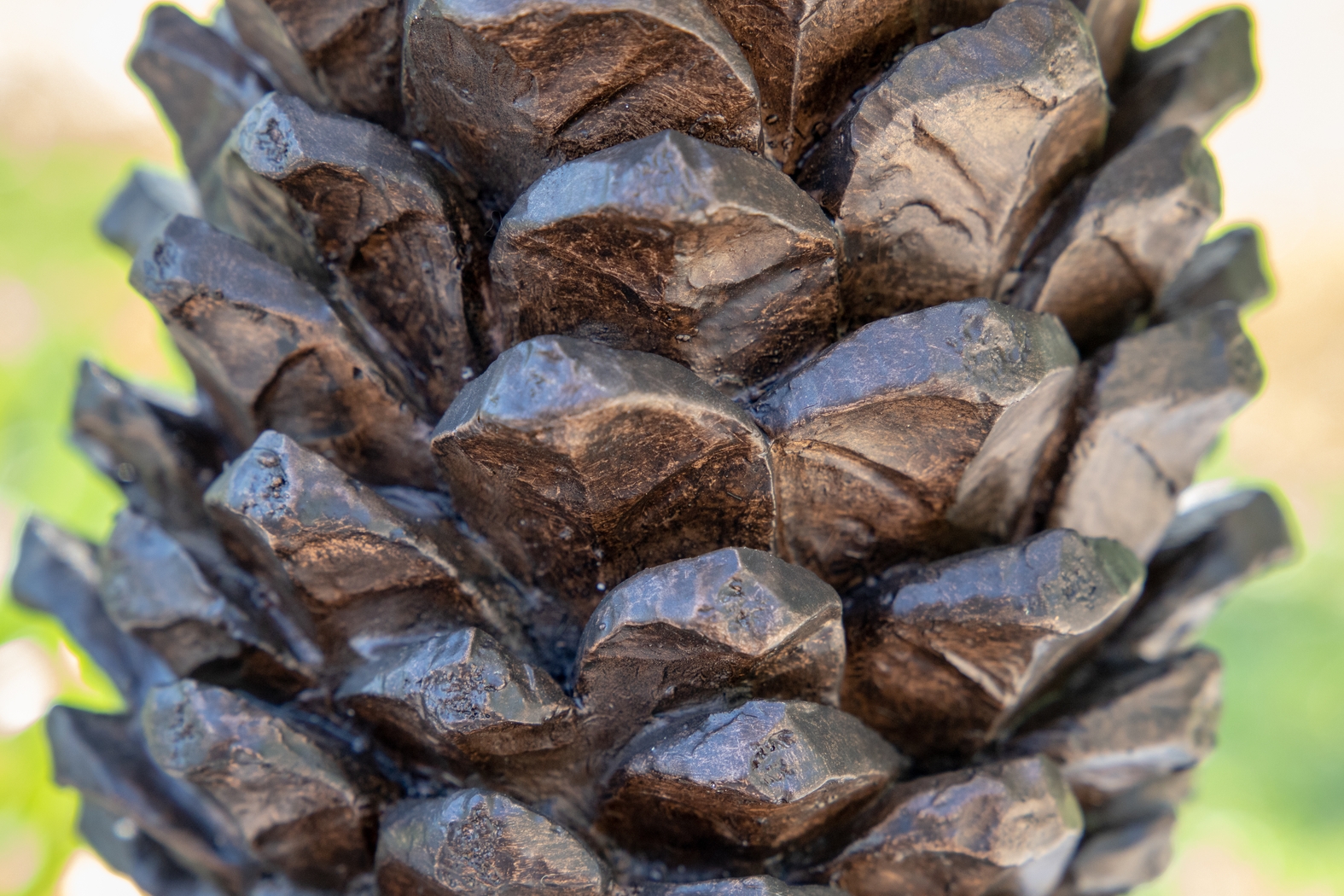 Sitka Spruce Brown Outdoor Table Lamp - Thumbnail - Image 8