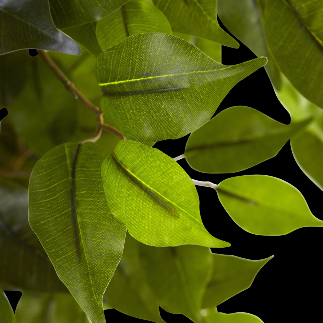 Skylia Green Ficus Indoor/Outdoor Silk Tree - Thumbnail - Image 2