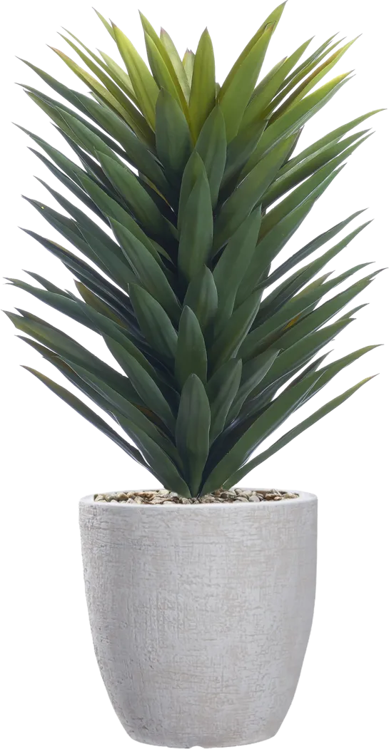 Solara Green 40 in. Artificial Agave in White Planter - Thumbnail - Image 1