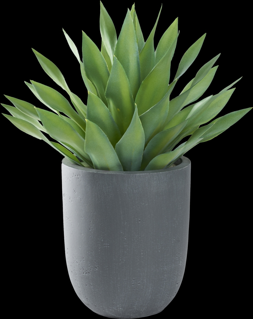 Soloma Green 27 in. Artificial Large Desert Succulent in Gray Planter - Thumbnail - Image 1