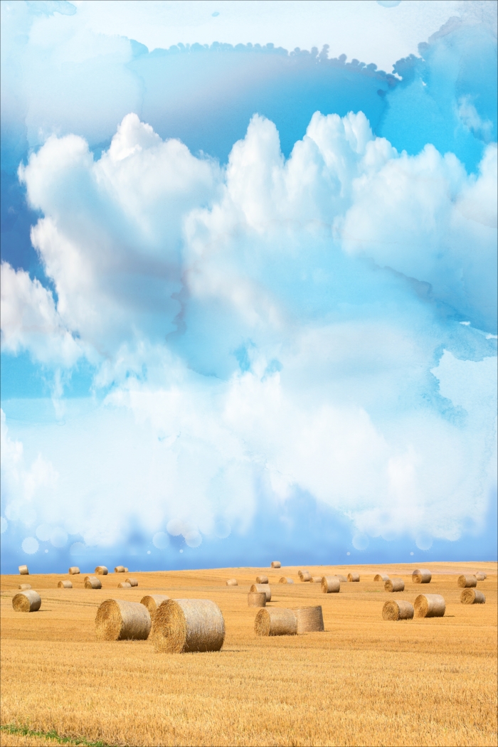 Spadina White Artwork - Thumbnail - Image 1