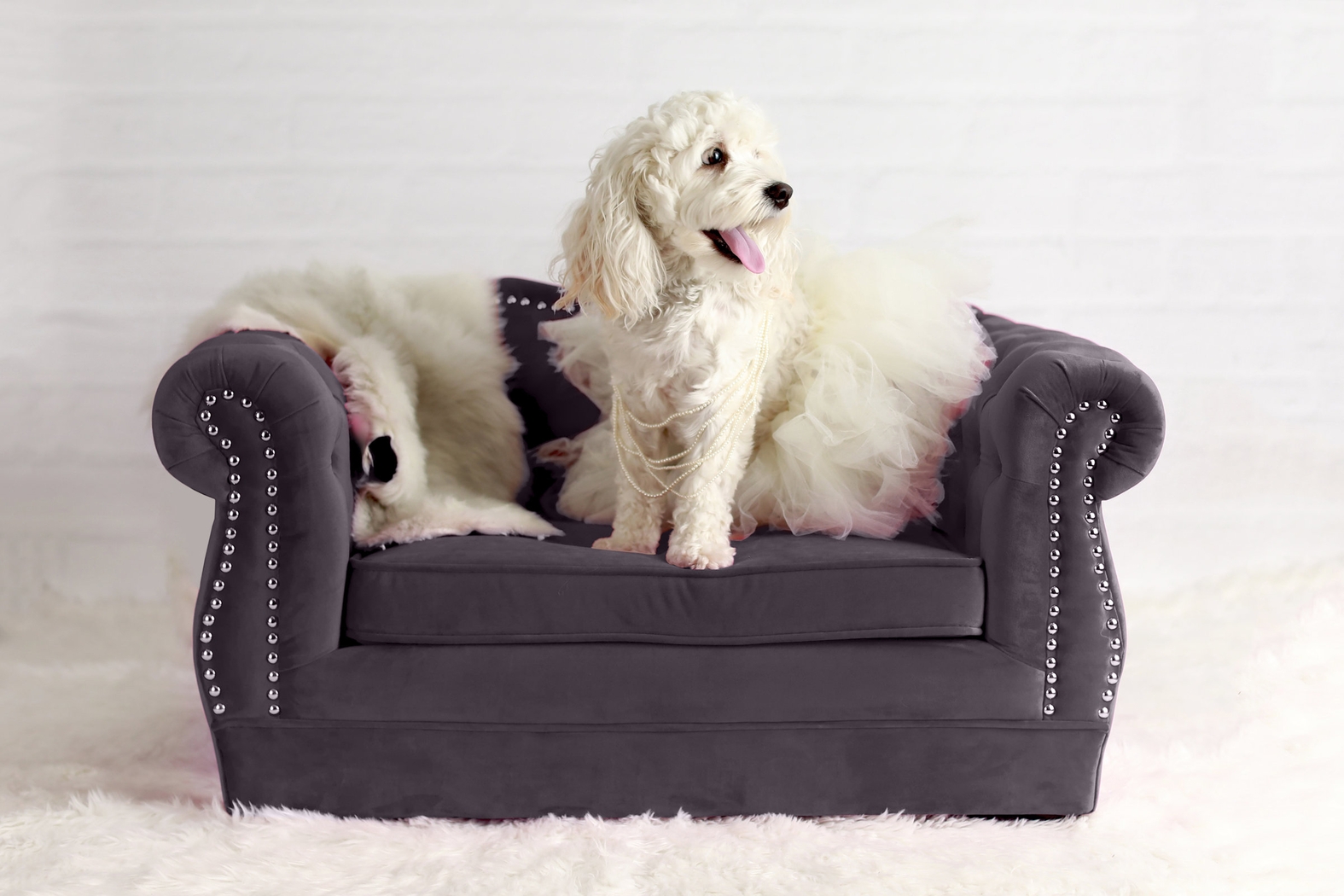 Spaniel Gray Pet Bed - Thumbnail - Image 3