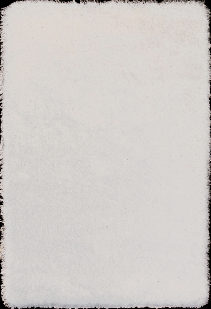 Sparkle Shag Ivory-Gold 5' x 7'5 Rug - Thumbnail - Image 1