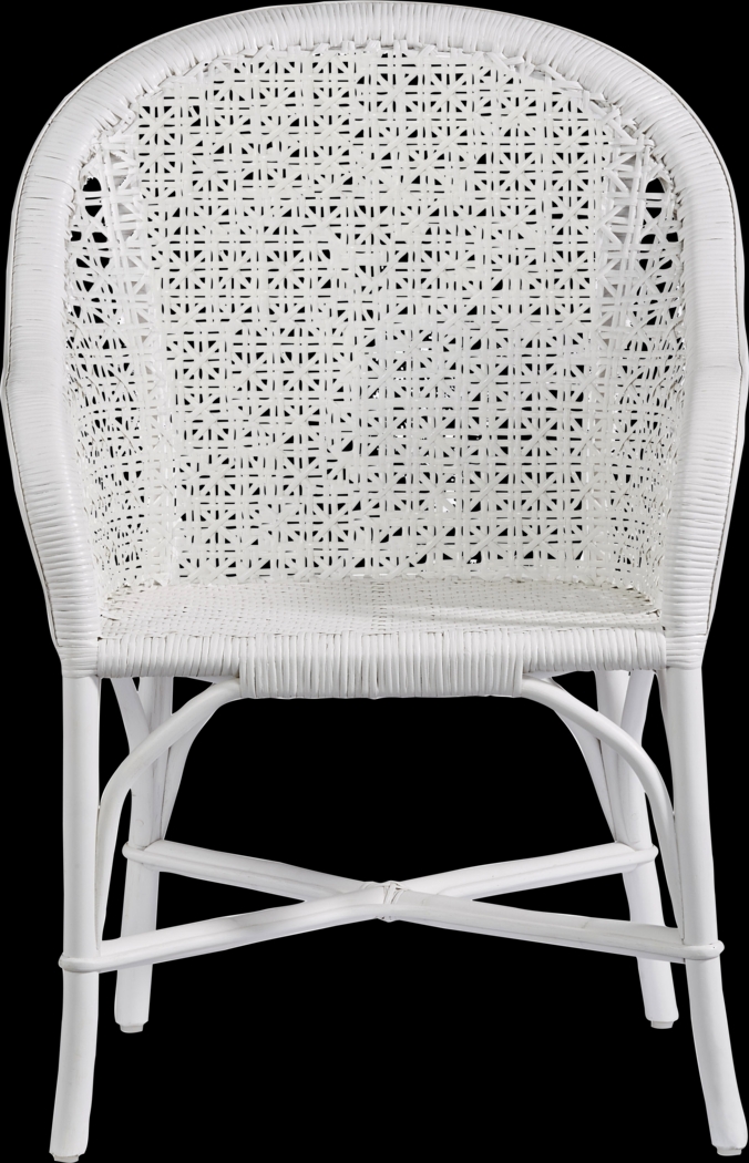 Stonegarden White Arm Chair - Thumbnail - Image 2