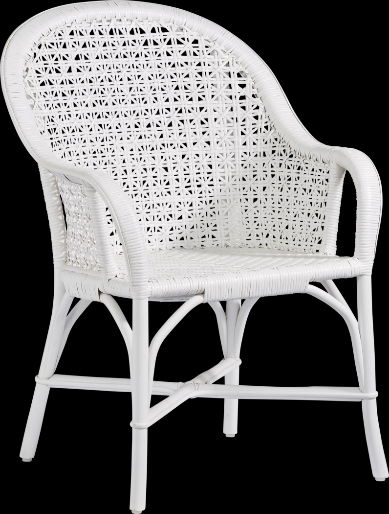 Stonegarden White Arm Chair - Thumbnail - Image 1
