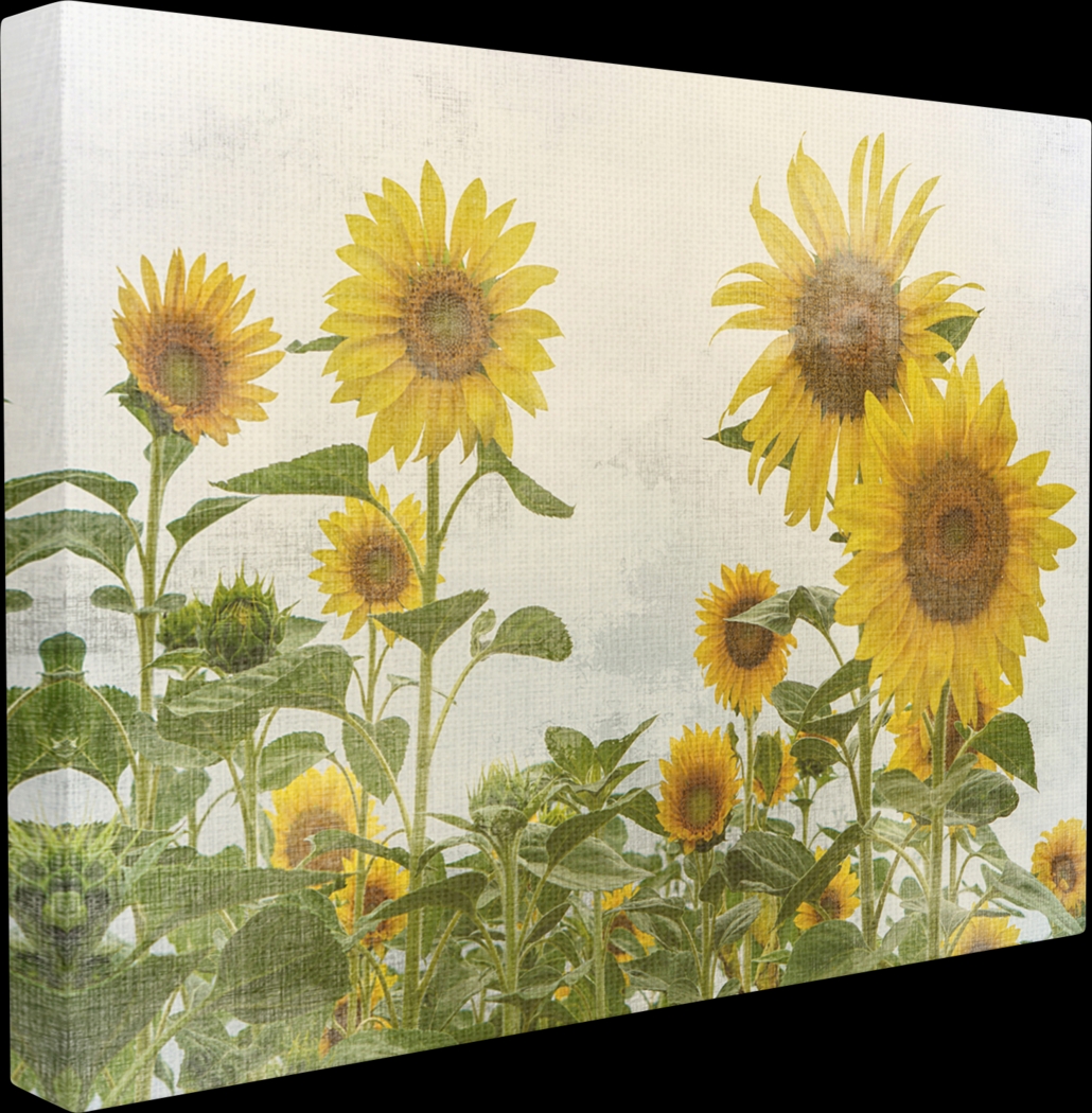 Sunflower Field Artwork - Thumbnail - Image 1