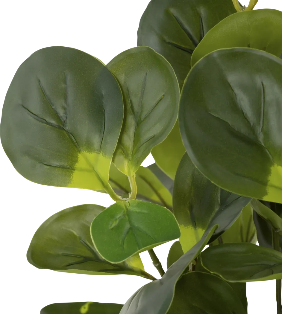 Sunpaw Green Silk Plant - Thumbnail - Image 5