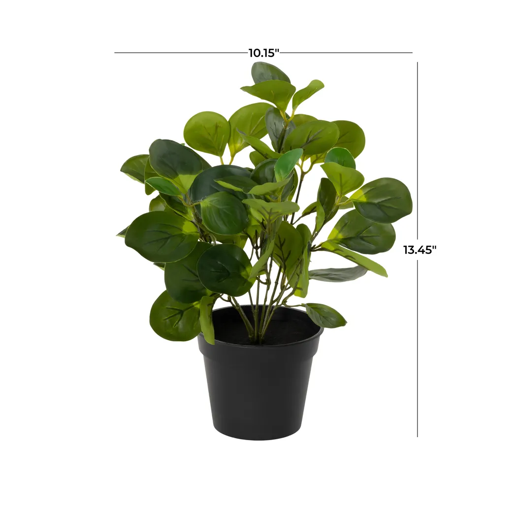 Sunpaw Green Silk Plant - Thumbnail - Image 6
