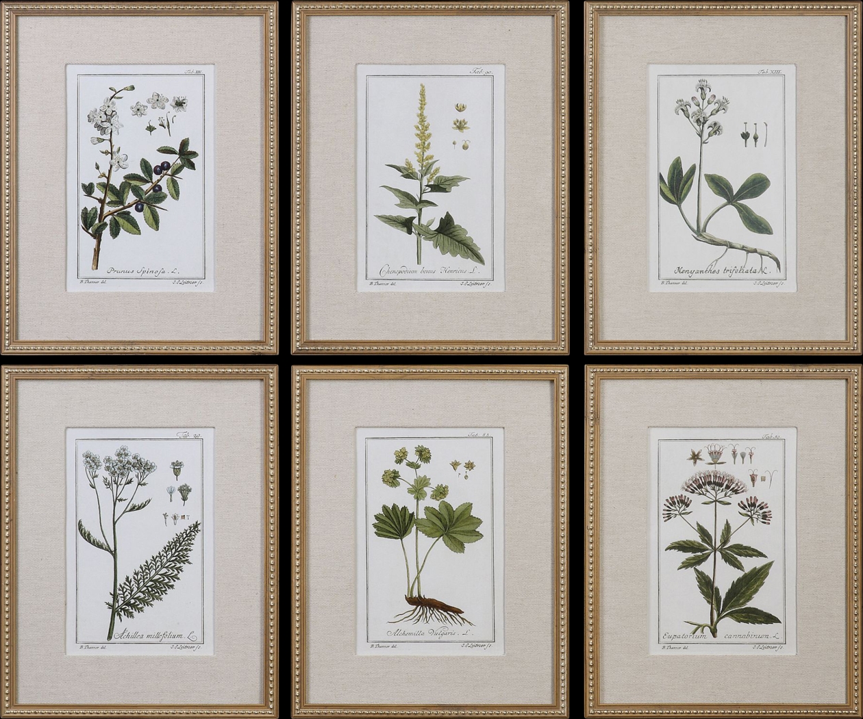 Syane Gold Set of 6 Artwork - Thumbnail - Image 1