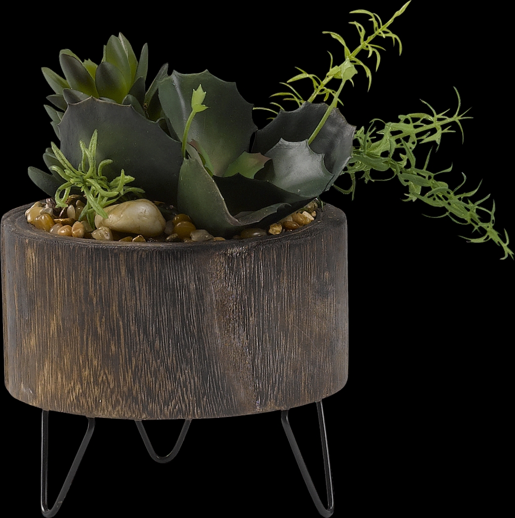 Sylena Green Succulent Silk Plant - Thumbnail - Image 1